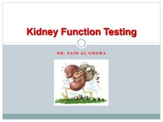Kidney Function Testing