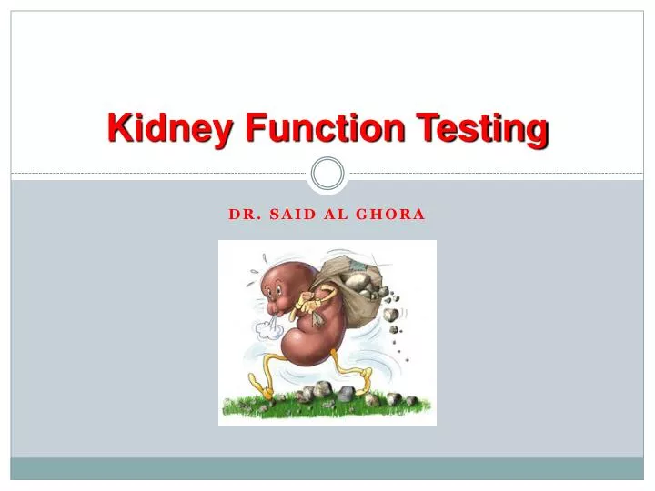 kidney function testing