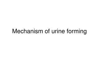Mechanism of urine forming