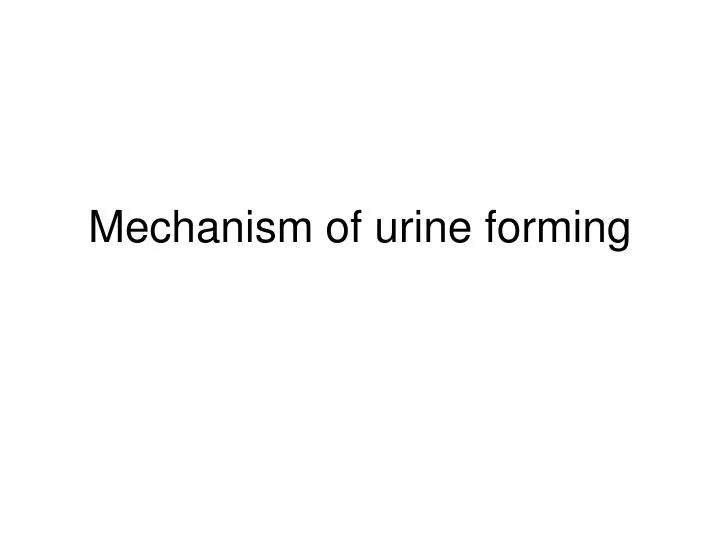 mechanism of urine forming