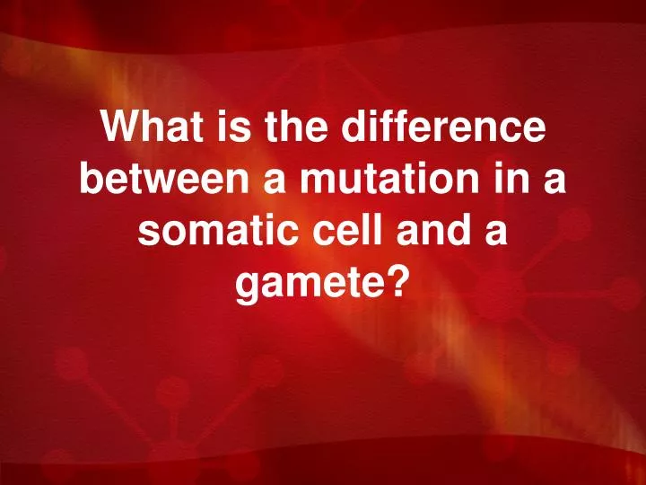 what is the difference between a mutation in a somatic cell and a gamete