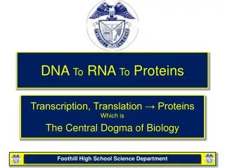 DNA To RNA To Proteins