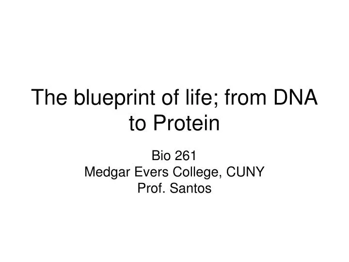 the blueprint of life from dna to protein