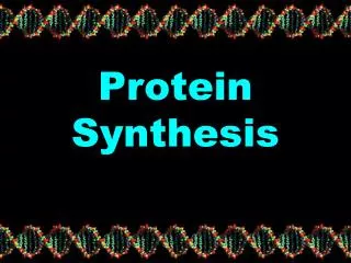 Protein Synthesis