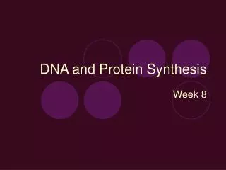 dna and protein synthesis