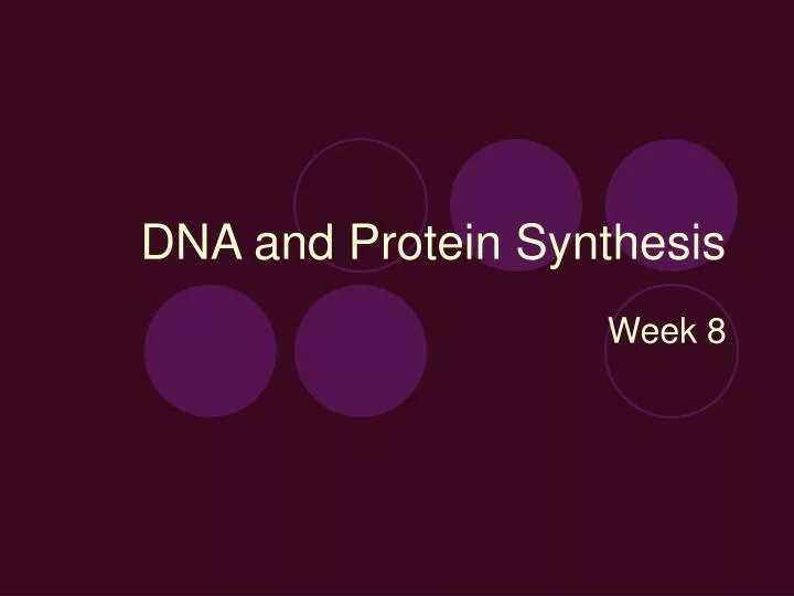 dna and protein synthesis