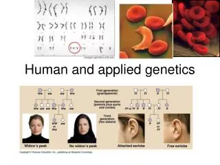 Human and applied genetics