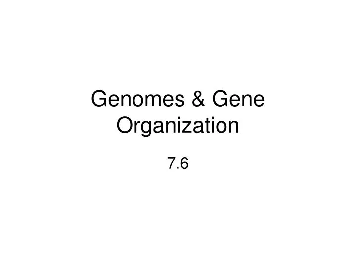 genomes gene organization