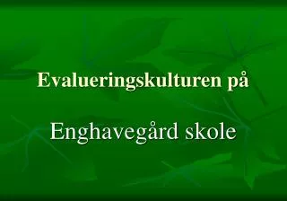 evalueringskulturen p