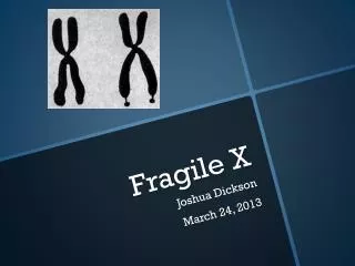 Fragile X