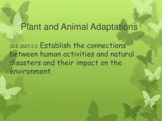 Plant and Animal Adaptations