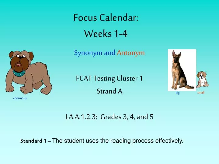focus calendar weeks 1 4