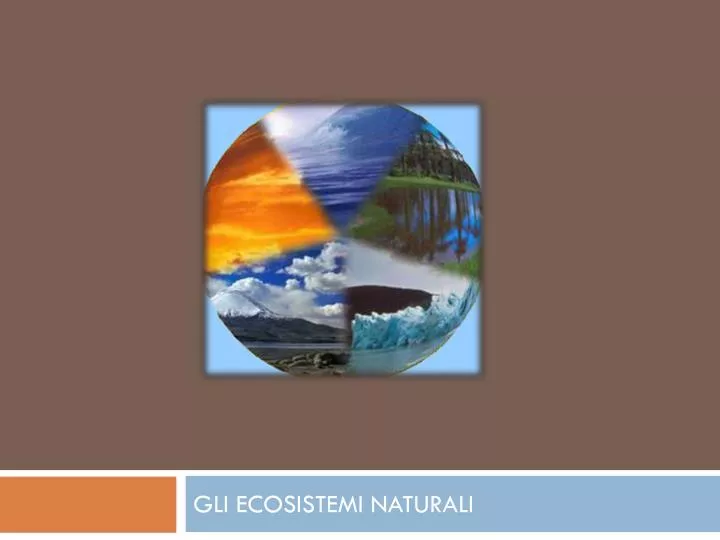 gli ecosistemi naturali