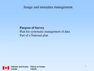 Image and metadata management