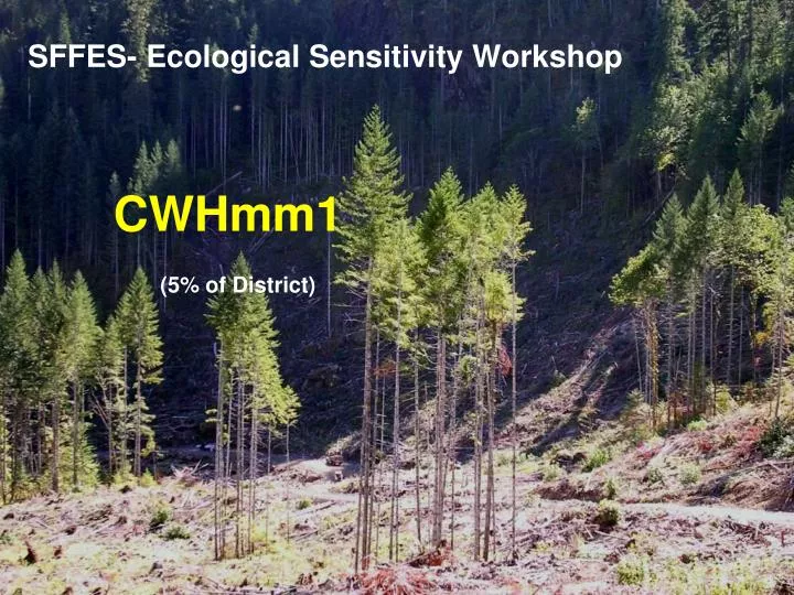 sffes ecological sensitivity workshop