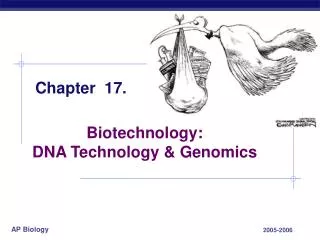 chapter 17