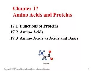 Chapter 17 Amino Acids and Proteins