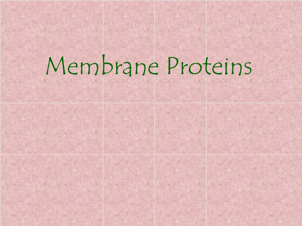 PPT - Membrane Proteins PowerPoint Presentation, free download - ID:5739123
