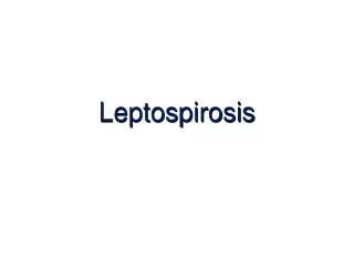 leptospirosis