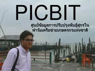 picbit