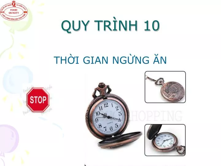 quy tr nh 10