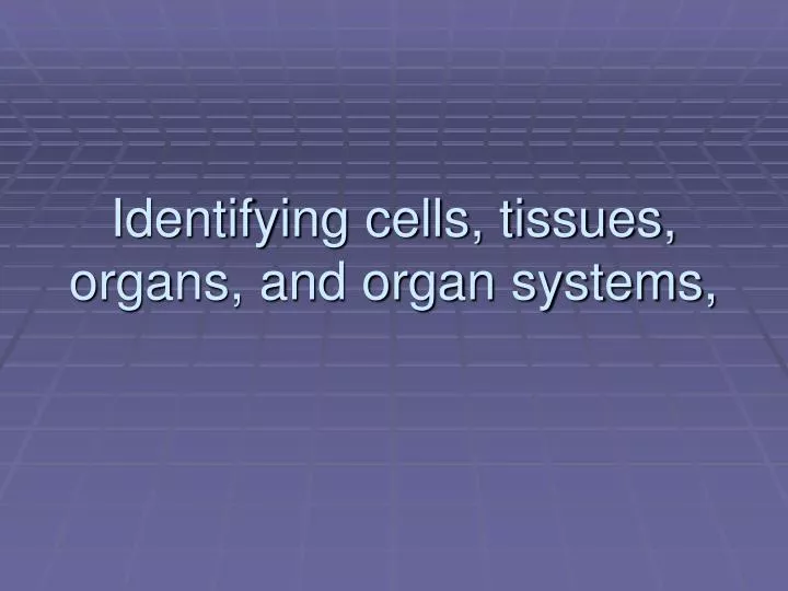 identifying cells tissues organs and organ systems