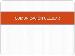 comunicaci n celular