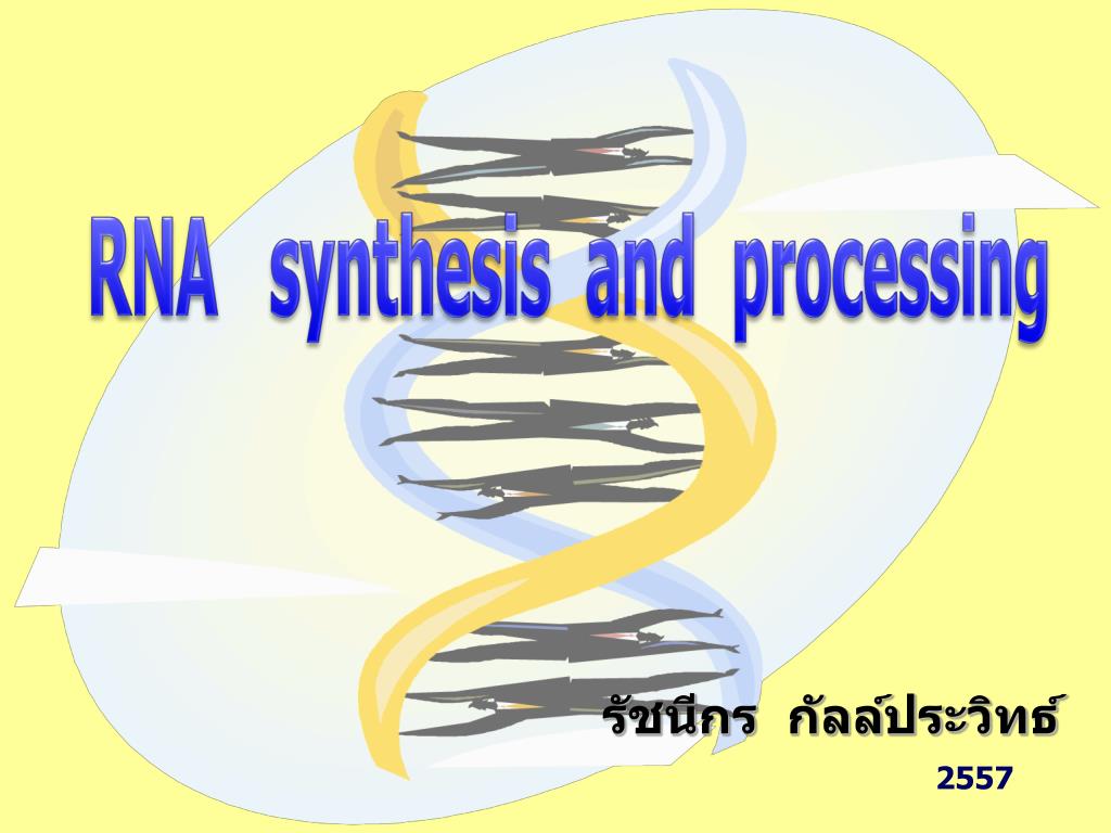 PPT - RNA synthesis and processing PowerPoint Presentation, free ...