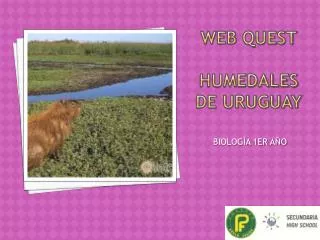 web quest humedales de uruguay