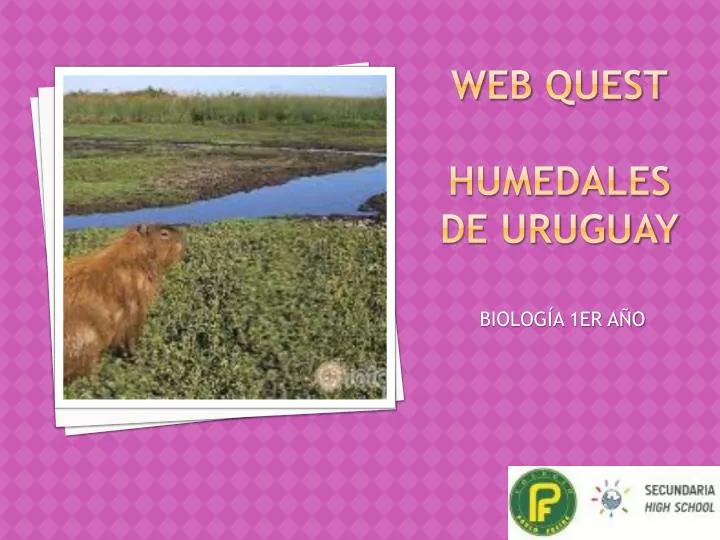 web quest humedales de uruguay