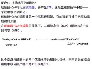 反应 5 ：底物水平的磷酸化 琥珀酰 -CoA 转化成 琥珀酸 ，并产生 GTP 。这是三羧酸循环中唯一一个底物水平磷酸化。