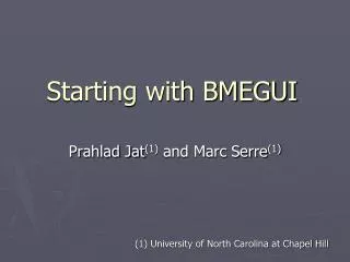 Starting with BMEGUI