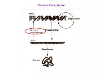 Reverse transcription
