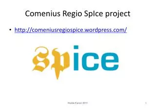 comenius regio spice project