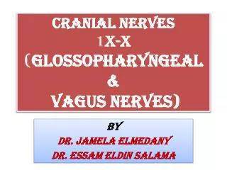 Cranial Nerves 1 X-X ( Glossopharyngeal &amp; Vagus Nerves)