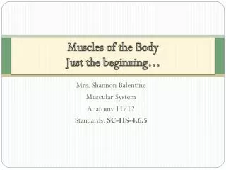 Muscles of the Body Just the beginning…