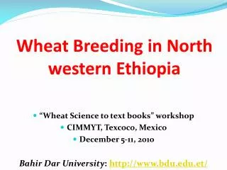 Wheat Breeding in North western Ethiopia