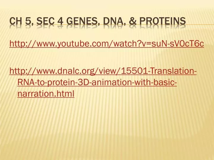 ch 5 sec 4 genes dna proteins