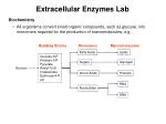Extracellular Enzymes Lab