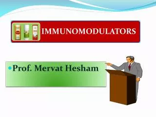 Prof. Mervat Hesham