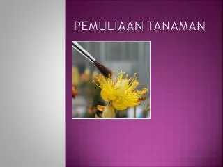 pemuliaan tanaman