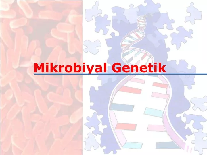 mikrobiyal genetik