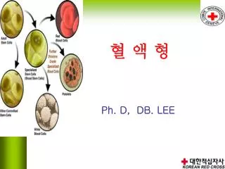 ph d db lee