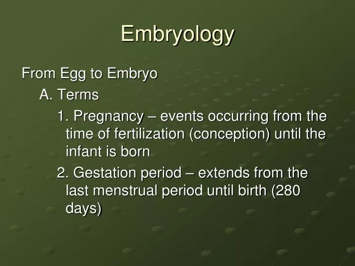 embryology