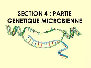 section 4 partie genetique microbienne
