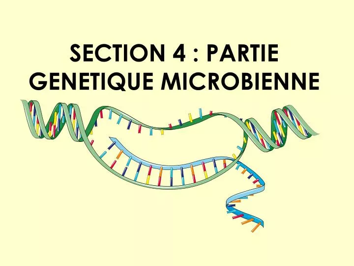 section 4 partie genetique microbienne