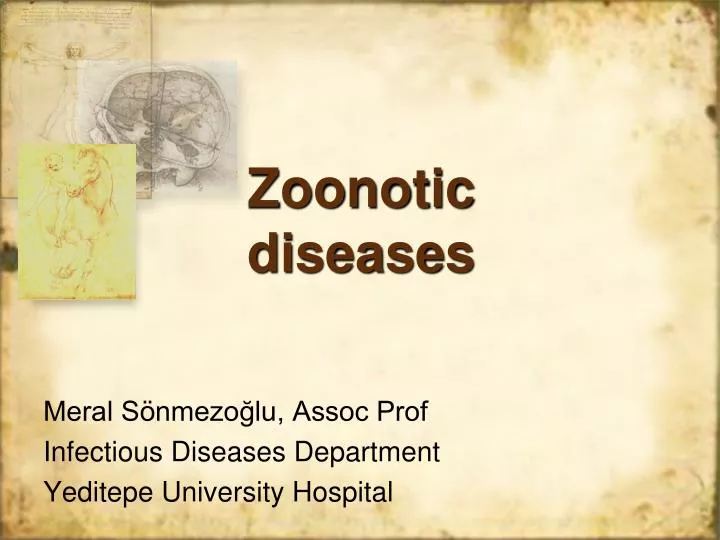 zoono tic diseases