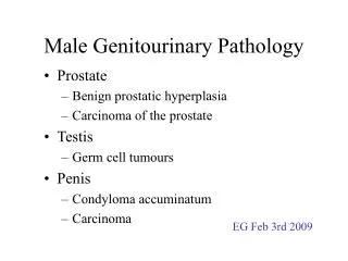 Male Genitourinary Pathology