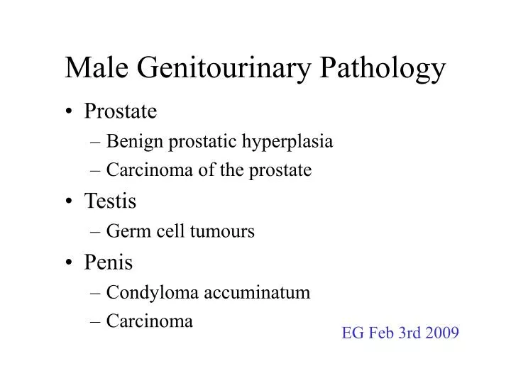 male genitourinary pathology