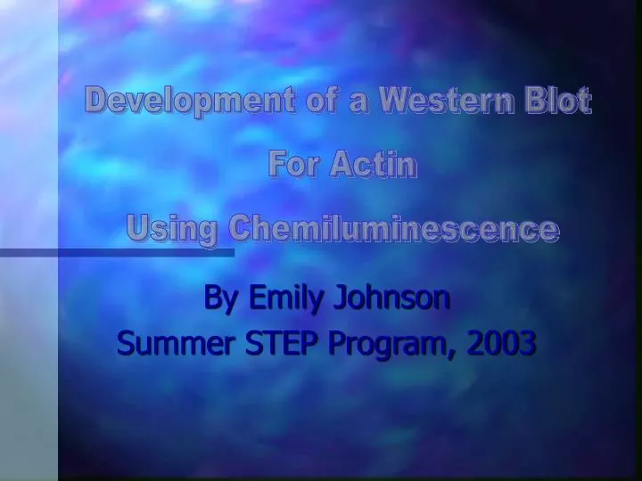 by emily johnson summer step program 2003